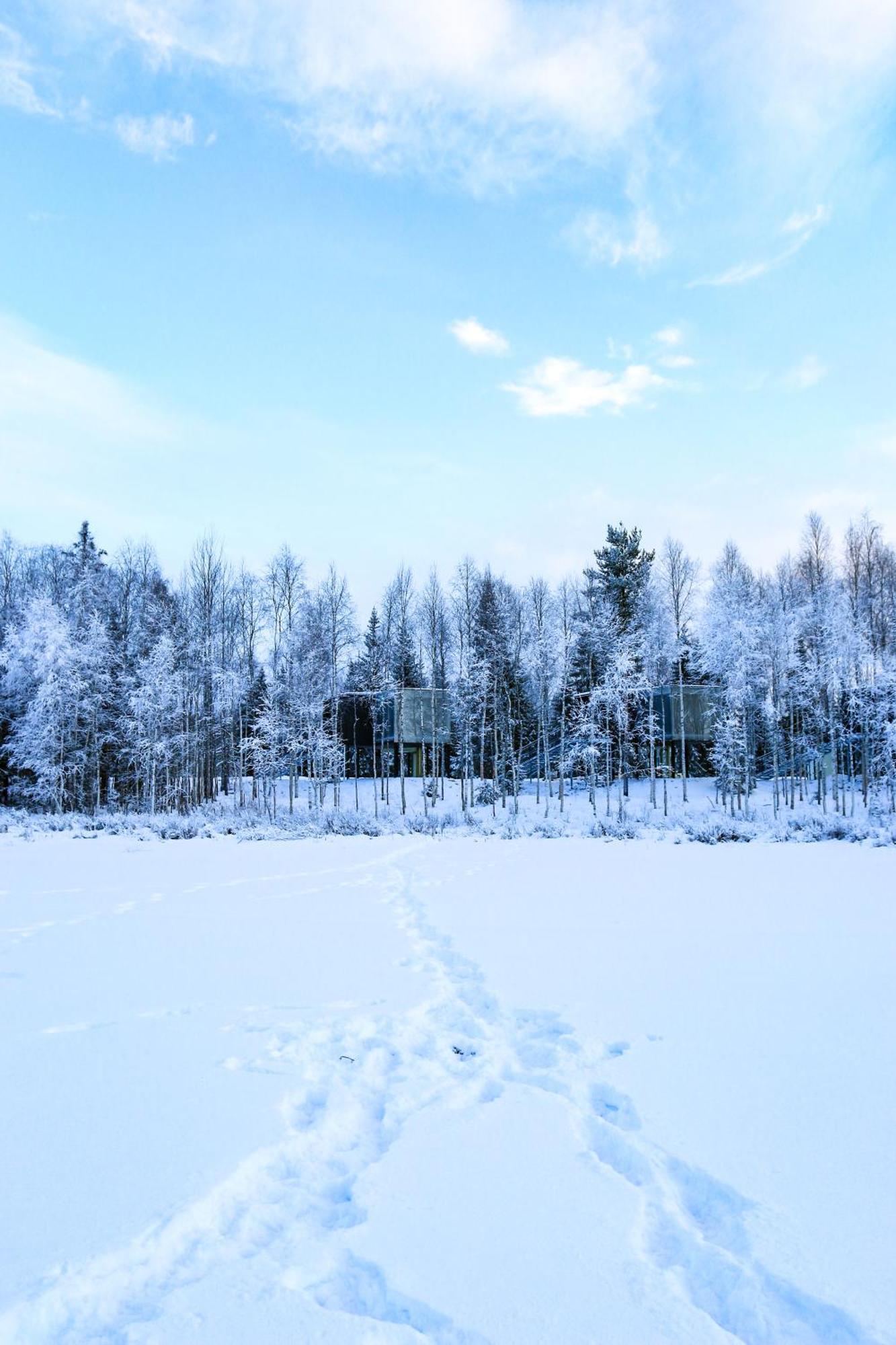 Silver Birch Resort Lapland Рованиеми Экстерьер фото